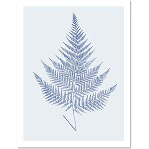 Wee Blue Coo Botanics Cobalt Fern Eppusum Large White Framed Art Print Wall Poster 18x24 inch Wee Blue Coo Botanics Cobalt Fern Eppusum Large White Framed Art Print Wall Poster 18x24 inch