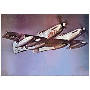 Wee Blue Coo War Military Plane Fighter Jet Mustang Twin F82b Betty Jo Wall Art Print Wee Blue Coo War Military Plane Fighter Jet Mustang Twin F82b Betty Jo Wall Art Print