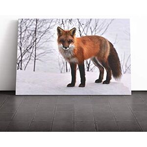 Big Box Art Canvas Print Wall Art Red Fox in Winter Forest (2) Mounted and Stretched Box Frame Picture Home Decor for Kitchen, Living, Dining Room, Bedroom, Hallway, Multi-Colour, 30x20 Inch Big Box Art Canvas Print Wall Art Red Fox in Winter Forest (2) Mounted and Stretched Box Frame Picture Home Decor for Kitchen, Living, Dining Room, Bedroom, Hallway, Multi-Colour, 30x20 Inch