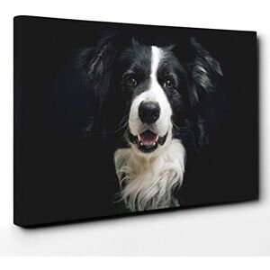 Big Box Art Border Collie Dog Canvas Print Gallery Wrapped 30mm Frame Wall Art 20x14 inches Ready to Hang Modern Animals Picture Living Room Bedroom Lounge Office Big Box Art Border Collie Dog Canvas Print Gallery Wrapped 30mm Frame Wall Art 20x14 inches Ready to Hang Modern Animals Picture Living Room Bedroom Lounge Office