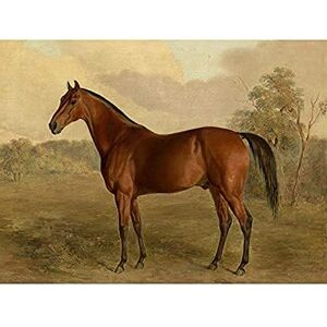 Artery8 Troye Kentucky Woodpecker 1834 Brown Horse Painting Unframed Wall Art Print Poster Home Decor Premium Artery8 Troye Kentucky Woodpecker 1834 Brown Horse Painting Unframed Wall Art Print Poster Home Decor Premium