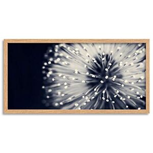 Wee Blue Coo Flower Head Stamen Long Panel Framed Wall Art Print Wee Blue Coo Flower Head Stamen Long Panel Framed Wall Art Print