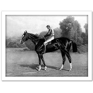 Artery8 After Stull Racehorse Salvator Artwork Framed Wall Art Print 18X24 Inch Artery8 After Stull Racehorse Salvator Artwork Framed Wall Art Print 18X24 Inch
