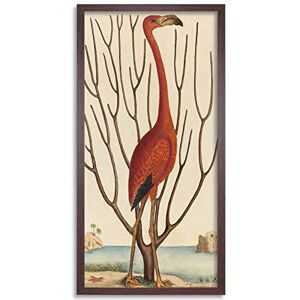 Wee Blue Coo Catesby Flamingo Bird Zoology Long Panel Framed Wall Art Print Wee Blue Coo Catesby Flamingo Bird Zoology Long Panel Framed Wall Art Print