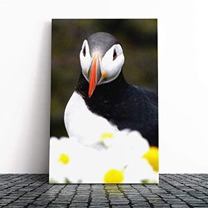 Big Box Art Atlantic Puffin Bird Canvas Print Gallery Wrapped 30mm Frame Wall Art 30x20 inches Ready to Hang Modern Animals Picture Living Room Bedroom Lounge Office Big Box Art Atlantic Puffin Bird Canvas Print Gallery Wrapped 30mm Frame Wall Art 30x20 inches Ready to Hang Modern Animals Picture Living Room Bedroom Lounge Office