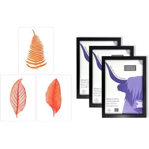 Artery8 Orange Plants Wall Art Set of 3 A4 Sized Art with Black Frames Elegant Fern Frond Tree Bright Orange Leaf Detailed Foliage Botanical Artery8 Orange Plants Wall Art Set of 3 A4 Sized Art with Black Frames Elegant Fern Frond Tree Bright Orange Leaf Detailed Foliage Botanical