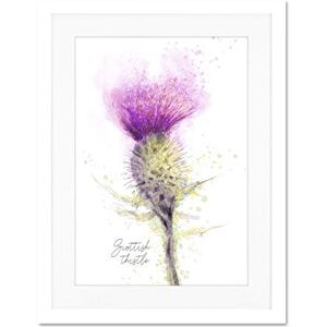 Wee Blue Coo Scottish Thistle Flower Head Watercolour Scotland Large Art Print Poster Wall Decor 18x24 inch Supplied Ready To Hang With Included Mount Brackets Wee Blue Coo Scottish Thistle Flower Head Watercolour Scotland Large Art Print Poster Wall Decor 18x24 inch Supplied Ready To Hang With Included Mount Brackets
