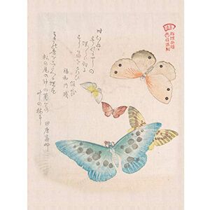 Wee Blue Coo Kubo Shunman Moths And Butterflies Unframed Wall Art Print Poster Home Decor Wee Blue Coo Kubo Shunman Moths And Butterflies Unframed Wall Art Print Poster Home Decor