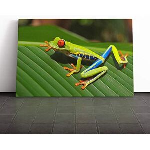 Big Box Art Tree Frog (2) Canvas Print Gallery Wrapped 30mm Frame Wall Art 30x20 inches Ready to Hang Modern Animals Picture Living Room Bedroom Lounge Office Big Box Art Tree Frog (2) Canvas Print Gallery Wrapped 30mm Frame Wall Art 30x20 inches Ready to Hang Modern Animals Picture Living Room Bedroom Lounge Office