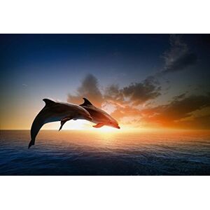 Scenolia Photo Wallpaper Poster - XXL Design - 3 x 2.70 m - Photo Wallpaper Poster Scenolia Photo Wallpaper Poster - XXL Design - 3 x 2.70 m - Photo Wallpaper Poster