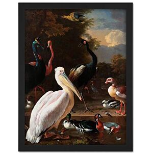 Artery8 Hondecoeter Pelican Birds Pool Floating Feather Artwork Framed Wall Art Print 18X24 Inch Artery8 Hondecoeter Pelican Birds Pool Floating Feather Artwork Framed Wall Art Print 18X24 Inch
