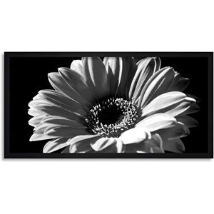 Wee Blue Coo Gerbera Flower Head Long Panel Framed Wall Art Print Wee Blue Coo Gerbera Flower Head Long Panel Framed Wall Art Print
