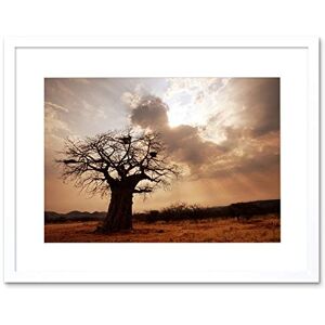 Wee Blue Coo Landscape Single Lone Baobab Tree Sunbeam Framed Wall Art Print Wee Blue Coo Landscape Single Lone Baobab Tree Sunbeam Framed Wall Art Print