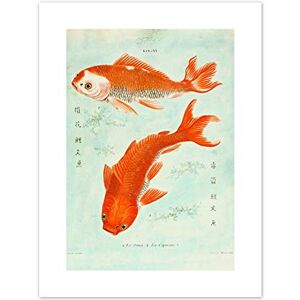 Wee Blue Coo Fish Japanese Koi Art Print Canvas Premium Wall Decor Poster Wee Blue Coo Fish Japanese Koi Art Print Canvas Premium Wall Decor Poster