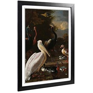 Big Box Art Framed Print of Melchior d'Hondecoeter Birds Design Wall Art Picture Home Decor for Kitchen, Living, Dining Room, Bedroom, Hallway, Office, Black, A2 / 24.5x18 Inch / 62x45cm Big Box Art Framed Print of Melchior d'Hondecoeter Birds Design Wall Art Picture Home Decor for Kitchen, Living, Dining Room, Bedroom, Hallway, Office, Black, A2 / 24.5x18 Inch / 62x45cm