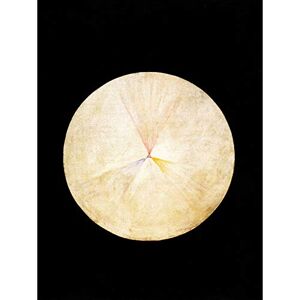 Wee Blue Coo Abstract Circle Hilma Af Klint No 14 Swan Large Wall Art Poster Print Thick Paper 18X24 Inch Wee Blue Coo Abstract Circle Hilma Af Klint No 14 Swan Large Wall Art Poster Print Thick Paper 18X24 Inch