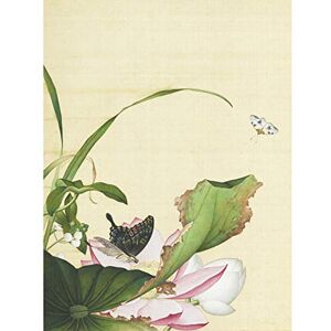 Fine Art Prints Castiglione Lotus Flower Butterfly Painting Large Print Poster Wall Art Decor Picture Fine Art Prints Castiglione Lotus Flower Butterfly Painting Large Print Poster Wall Art Decor Picture