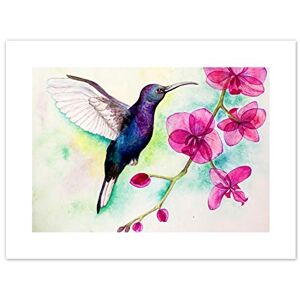 Wee Blue Coo Hummingbird And Orchid Art Print Canvas Premium Wall Decor Poster Wee Blue Coo Hummingbird And Orchid Art Print Canvas Premium Wall Decor Poster