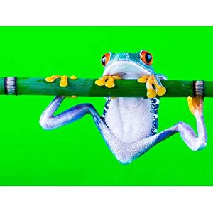 Wee Blue Coo Red Eyed Tree Frog Branch Art Print Poster Wall Decor 12X16 Inch Wee Blue Coo Red Eyed Tree Frog Branch Art Print Poster Wall Decor 12X16 Inch