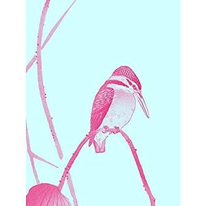 Wee Blue Coo Ohara Koson Lotus Kingfisher Unframed Art Print Poster Wall Decor 12x16 inch Wee Blue Coo Ohara Koson Lotus Kingfisher Unframed Art Print Poster Wall Decor 12x16 inch