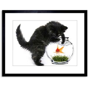 Wee Blue Coo PHOTO BLACK KITTEN CAT PLAYING GOLDFISH BOWL HOME FRAMED PRINT F97X2820 Wee Blue Coo PHOTO BLACK KITTEN CAT PLAYING GOLDFISH BOWL HOME FRAMED PRINT F97X2820