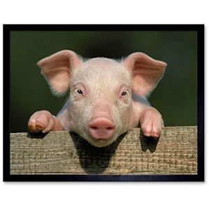 Wee Blue Coo Photo Animal Pig Piglet Cute Farm Pink Baby Babe Art Print Framed Poster Wall Decor 12X16 Inch Wee Blue Coo Photo Animal Pig Piglet Cute Farm Pink Baby Babe Art Print Framed Poster Wall Decor 12X16 Inch