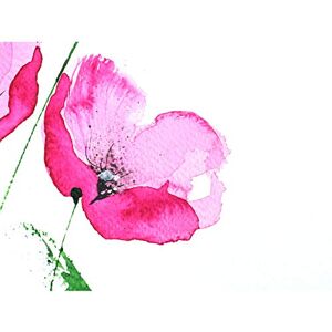 Wee Blue Coo Flower Poppy Watercolour Large Wall Art Print Canvas Premium Poster Wee Blue Coo Flower Poppy Watercolour Large Wall Art Print Canvas Premium Poster
