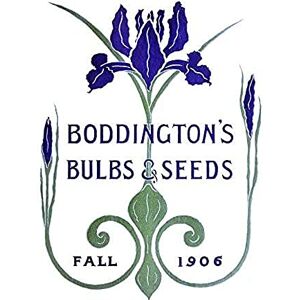 Wee Blue Coo Boddingtons Seeds Bulbs Fall 1906 Unframed Art Print Poster Wall Decor 12X16 Inch Wee Blue Coo Boddingtons Seeds Bulbs Fall 1906 Unframed Art Print Poster Wall Decor 12X16 Inch