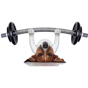 Wee Blue Coo Jack Russell Dog Personal Trainer Weight Lifter Art Print Poster Wall Decor 12X16 Inch Wee Blue Coo Jack Russell Dog Personal Trainer Weight Lifter Art Print Poster Wall Decor 12X16 Inch