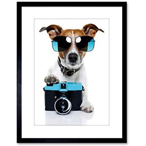 Wee Blue Coo Photo Jack Russell Dog Shades Camera Art Print Framed Poster Wall Decor 9x7 inch Wee Blue Coo Photo Jack Russell Dog Shades Camera Art Print Framed Poster Wall Decor 9x7 inch