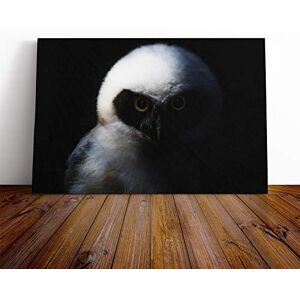 Big Box Art Owl Bird (5) Canvas Print Gallery Wrapped 30mm Frame Wall Art 24x16 inches Ready to Hang Modern Animals Picture Living Room Bedroom Lounge Office Big Box Art Owl Bird (5) Canvas Print Gallery Wrapped 30mm Frame Wall Art 24x16 inches Ready to Hang Modern Animals Picture Living Room Bedroom Lounge Office
