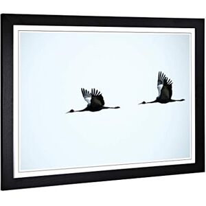 Big Box Art Framed Print of Flying Cranes Birds Design Wall Art Picture Home Decor for Kitchen, Living, Dining Room, Lounge, Bedroom, Hallway, Office, Black, A2 / 24.5x18 Inch / 62x45cm Big Box Art Framed Print of Flying Cranes Birds Design Wall Art Picture Home Decor for Kitchen, Living, Dining Room, Lounge, Bedroom, Hallway, Office, Black, A2 / 24.5x18 Inch / 62x45cm
