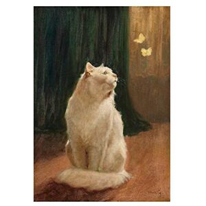 Wee Blue Coo Painting Heyer White Cat And Two Butterflies 12x16 Wall Art Print Wee Blue Coo Painting Heyer White Cat And Two Butterflies 12x16 Wall Art Print