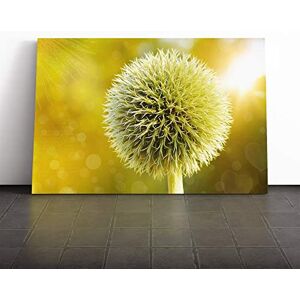 Big Box Art Canvas Print Wall Art Yellow Flower Globe Thistle (2) Mounted and Stretched Box Frame Picture Home Decor for Kitchen, Living Room, Bedroom, Hallway, Multi-Colour, 24x16 Inch Big Box Art Canvas Print Wall Art Yellow Flower Globe Thistle (2) Mounted and Stretched Box Frame Picture Home Decor for Kitchen, Living Room, Bedroom, Hallway, Multi-Colour, 24x16 Inch
