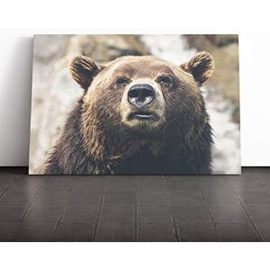 Big Box Art Brown Grizzly Bear Canvas Print Gallery Wrapped 30mm Frame Wall Art 20x14 inches Ready to Hang Modern Animals Picture Living Room Bedroom Lounge Office Big Box Art Brown Grizzly Bear Canvas Print Gallery Wrapped 30mm Frame Wall Art 20x14 inches Ready to Hang Modern Animals Picture Living Room Bedroom Lounge Office