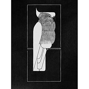 Wee Blue Coo Samuel Jessurun De Mesquita Crown Cockatoo Unframed Art Print Poster Wall Decor 12X16 Inch Wee Blue Coo Samuel Jessurun De Mesquita Crown Cockatoo Unframed Art Print Poster Wall Decor 12X16 Inch