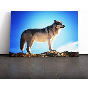 Big Box Art Wolf Canvas Print Gallery Wrapped 30mm Frame Wall Art 30x20 inches Ready to Hang Modern Animals Picture Living Room Bedroom Lounge Office Big Box Art Wolf Canvas Print Gallery Wrapped 30mm Frame Wall Art 30x20 inches Ready to Hang Modern Animals Picture Living Room Bedroom Lounge Office