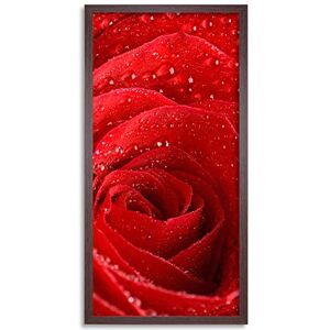 Wee Blue Coo Rose Flower Petals Red Long Panel Framed Wall Art Print Wee Blue Coo Rose Flower Petals Red Long Panel Framed Wall Art Print