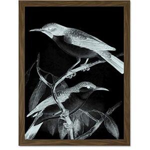 Wee Blue Coo Birds Illustration Night Large Framed Art Print Wall Poster 18x24 inch Wee Blue Coo Birds Illustration Night Large Framed Art Print Wall Poster 18x24 inch