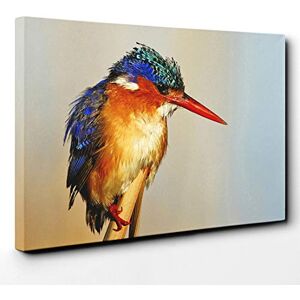 Big Box Art Kingfisher Bird Canvas Print Gallery Wrapped 30mm Frame Wall Art 24x16 inches Ready to Hang Modern Animals Picture Living Room Bedroom Lounge Office Big Box Art Kingfisher Bird Canvas Print Gallery Wrapped 30mm Frame Wall Art 24x16 inches Ready to Hang Modern Animals Picture Living Room Bedroom Lounge Office