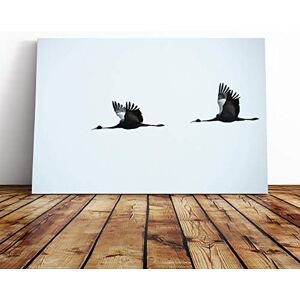 Big Box Art Flying Cranes Birds Canvas Print Gallery Wrapped 30mm Frame Wall Art 20x14 inches Ready to Hang Modern Bird Picture Living Room Bedroom Lounge Office Big Box Art Flying Cranes Birds Canvas Print Gallery Wrapped 30mm Frame Wall Art 20x14 inches Ready to Hang Modern Bird Picture Living Room Bedroom Lounge Office