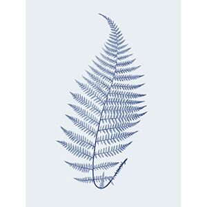 Wee Blue Coo Botanics Cobalt Fern Alpestre Art Print Canvas Premium Wall Decor Poster Wee Blue Coo Botanics Cobalt Fern Alpestre Art Print Canvas Premium Wall Decor Poster