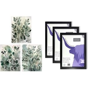 Artery8 Eucalyptus Leaves Wall Art Set of 3 A4 Sized Art with Black Frames Botanical Plants Sage Green Watercolour Boho Artery8 Eucalyptus Leaves Wall Art Set of 3 A4 Sized Art with Black Frames Botanical Plants Sage Green Watercolour Boho