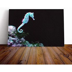 Big Box Art Seahorse Vol.2 Canvas Print Gallery Wrapped 30mm Frame Wall Art 20x14 inches Ready to Hang Modern Animals Picture Living Room Bedroom Lounge Office Big Box Art Seahorse Vol.2 Canvas Print Gallery Wrapped 30mm Frame Wall Art 20x14 inches Ready to Hang Modern Animals Picture Living Room Bedroom Lounge Office