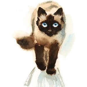 Wee Blue Coo Cat Ragdoll Walking Watercolour Art Print Poster Wall Decor 12X16 Inch Wee Blue Coo Cat Ragdoll Walking Watercolour Art Print Poster Wall Decor 12X16 Inch