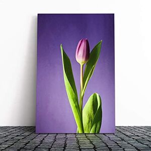 Big Box Art Canvas Print Wall Art Pink Purple Tulip Flower (4) Mounted and Stretched Box Frame Picture Home Decor for Kitchen, Living, Dining Room, Bedroom, Hallway, Multi-Colour, 30x20 Inch Big Box Art Canvas Print Wall Art Pink Purple Tulip Flower (4) Mounted and Stretched Box Frame Picture Home Decor for Kitchen, Living, Dining Room, Bedroom, Hallway, Multi-Colour, 30x20 Inch
