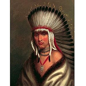 Fine Art Prints King Petalesharro Chief Pawnee Native American Portrait Unframed Wall Art Print Poster Home Decor Premium Fine Art Prints King Petalesharro Chief Pawnee Native American Portrait Unframed Wall Art Print Poster Home Decor Premium
