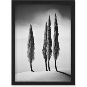 Artery8 Group of Cypress Trees on Snowy Hill Minimalist Black and White Photograph Cypresses in Foggy Winter Landscape Artwork Framed Wall Art Print A4 Artery8 Group of Cypress Trees on Snowy Hill Minimalist Black and White Photograph Cypresses in Foggy Winter Landscape Artwork Framed Wall Art Print A4