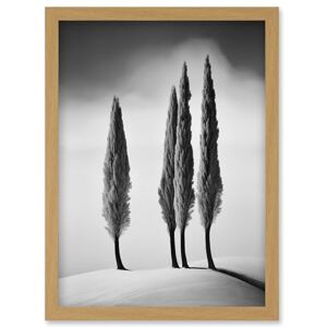 Artery8 Group of Cypress Trees on Snowy Hill Minimalist Black and White Photograph Cypresses in Foggy Winter Landscape Artwork Framed Wall Art Print A4 Artery8 Group of Cypress Trees on Snowy Hill Minimalist Black and White Photograph Cypresses in Foggy Winter Landscape Artwork Framed Wall Art Print A4
