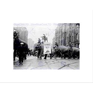Wee Blue Coo Circus Vintage Parade Elephant City Street USA Wall Art Print Wee Blue Coo Circus Vintage Parade Elephant City Street USA Wall Art Print